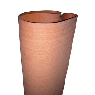 Pumpkin Carpet Belt (Tan)