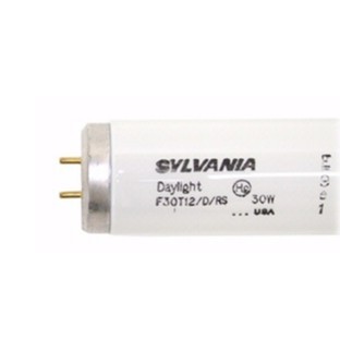 Lamp, Daylight, F30t 12/Dirs